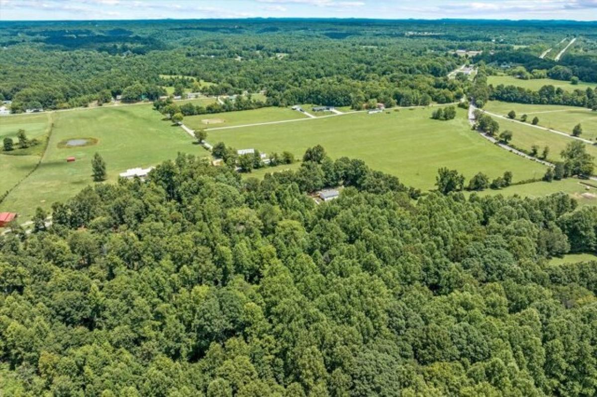 Picture of Residential Land For Sale in Silver Point, Tennessee, United States