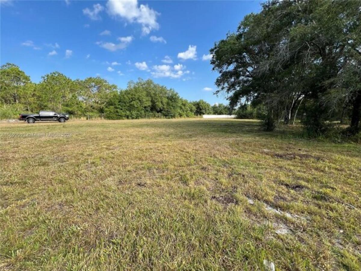 Picture of Residential Land For Sale in Clewiston, Florida, United States