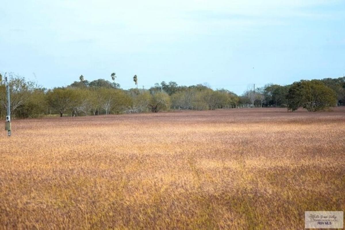 Picture of Residential Land For Sale in La Feria, Texas, United States