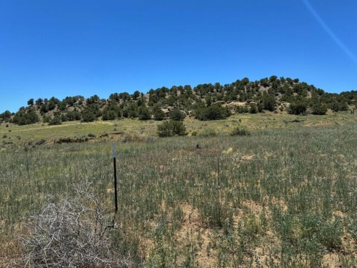 Picture of Home For Sale in Gardner, Colorado, United States