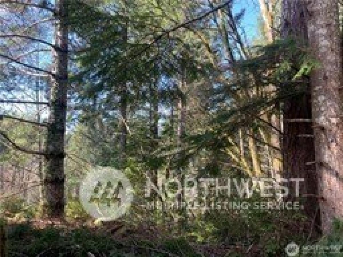 Picture of Residential Land For Sale in Belfair, Washington, United States