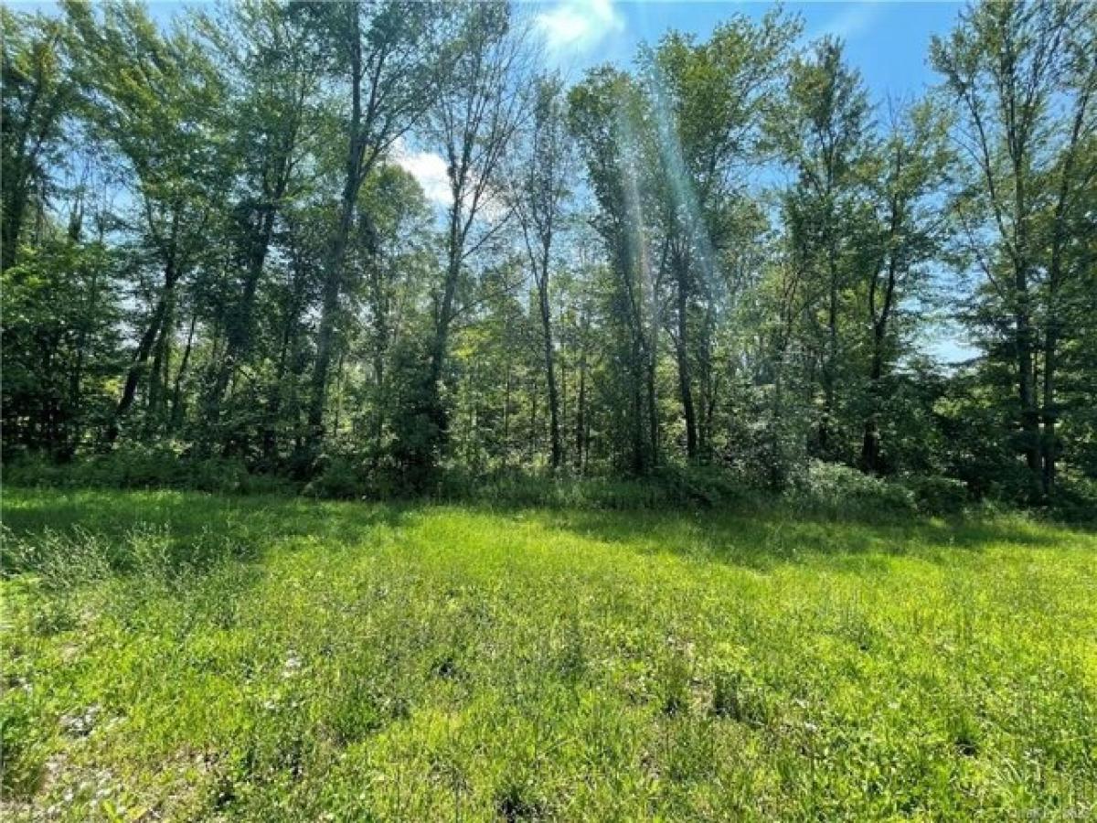 Picture of Residential Land For Sale in Stormville, New York, United States