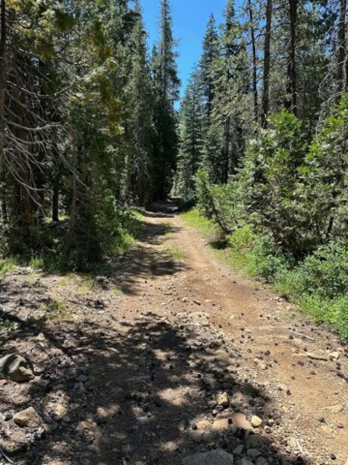 Picture of Residential Land For Sale in Nevada City, California, United States