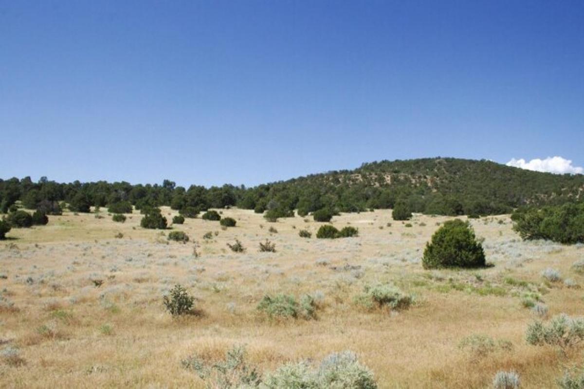 Picture of Residential Land For Sale in Aguilar, Colorado, United States