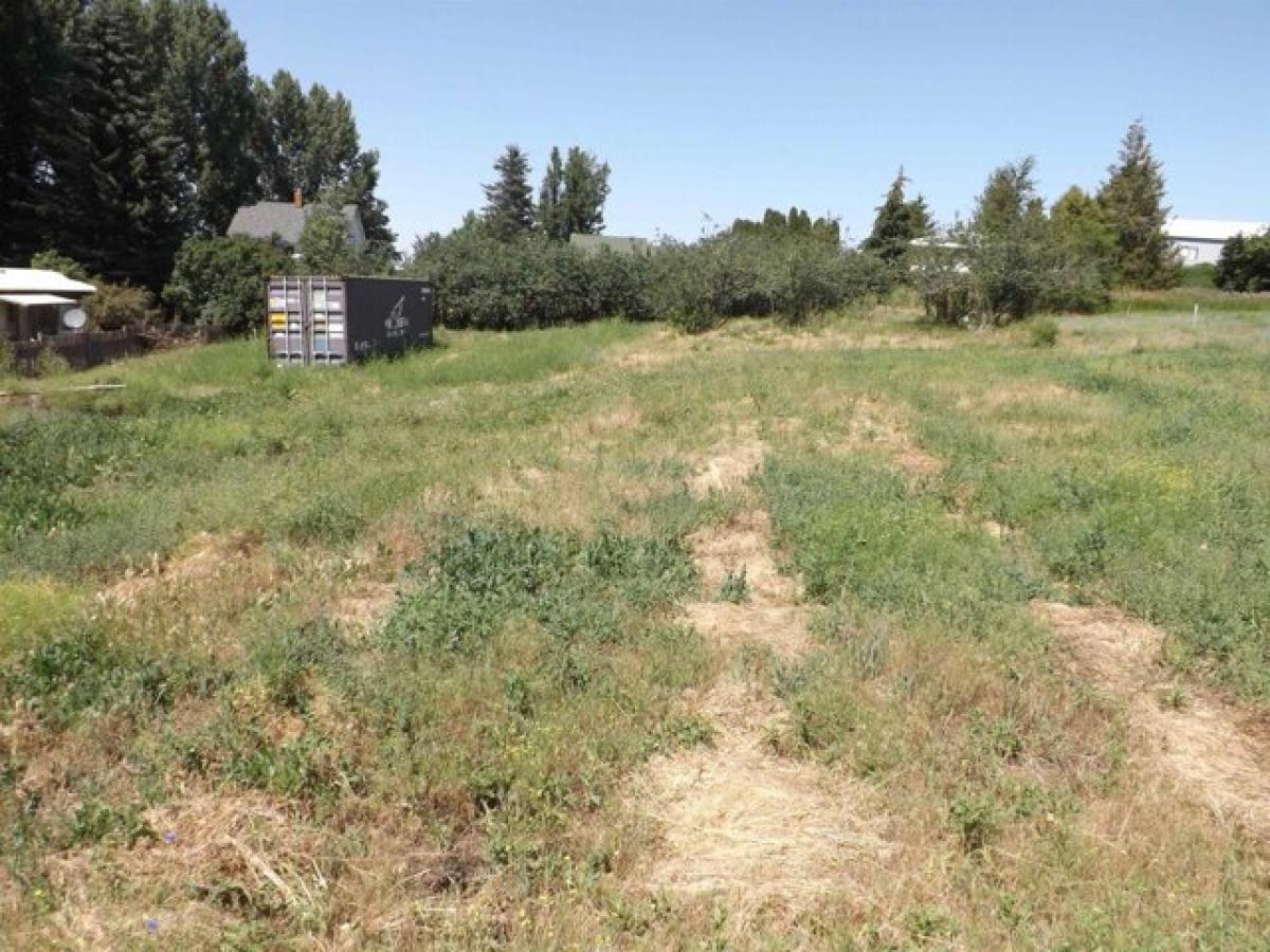 Picture of Residential Land For Sale in Rosalia, Washington, United States