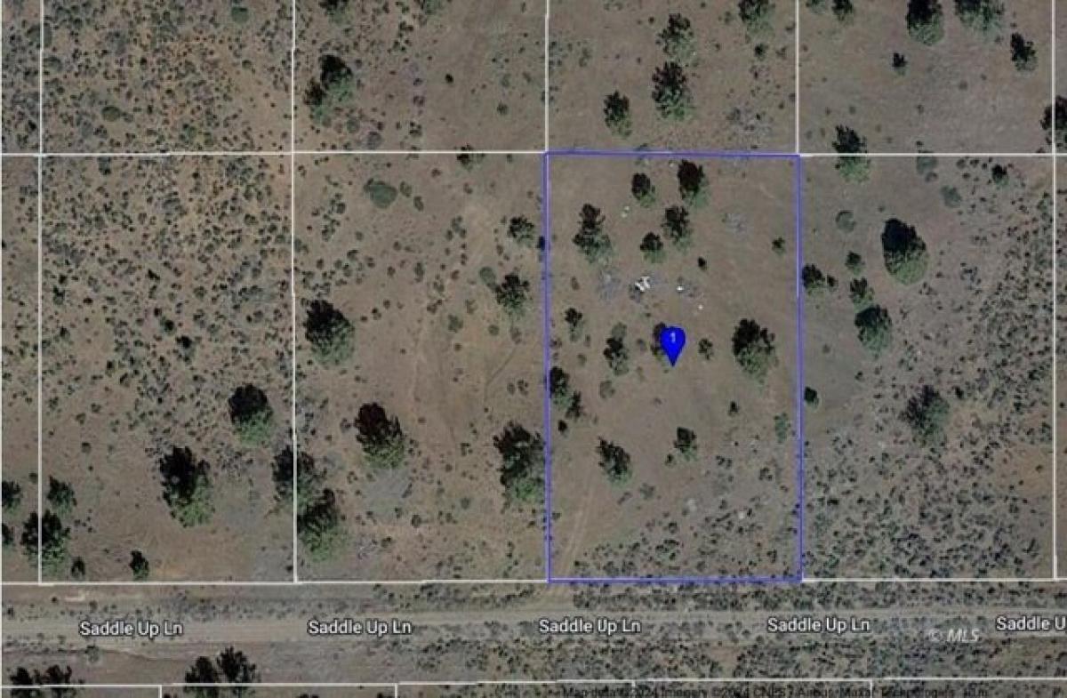 Picture of Residential Land For Sale in Alturas, California, United States