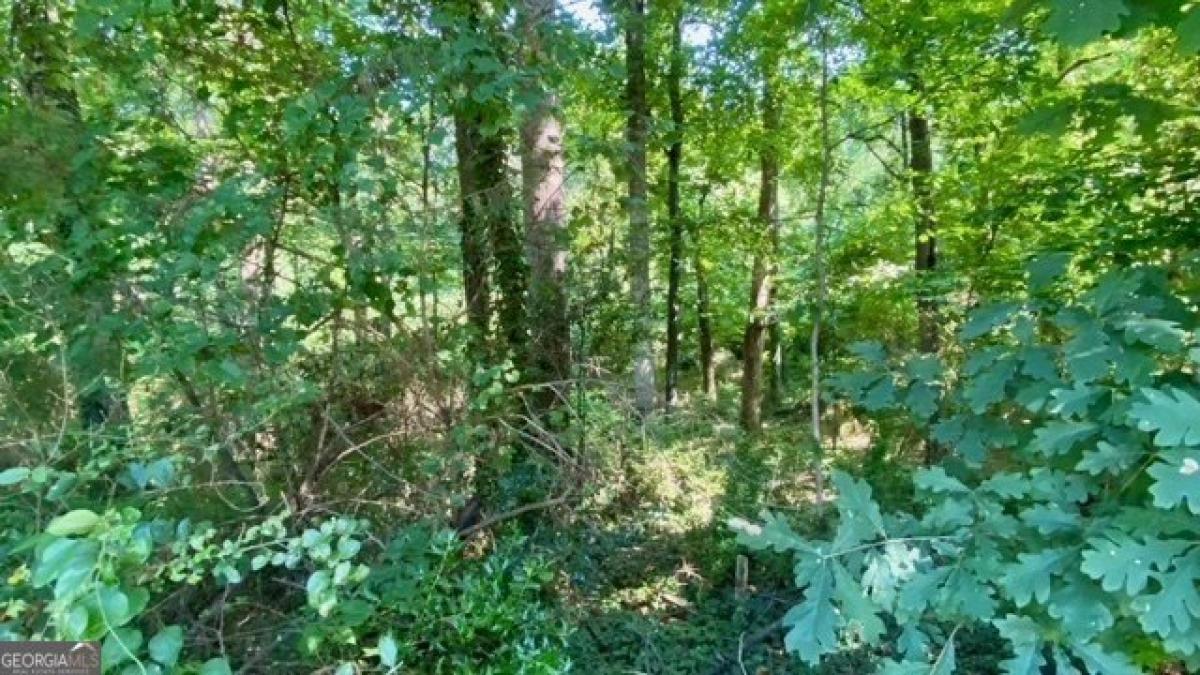 Picture of Residential Land For Sale in Lithonia, Georgia, United States