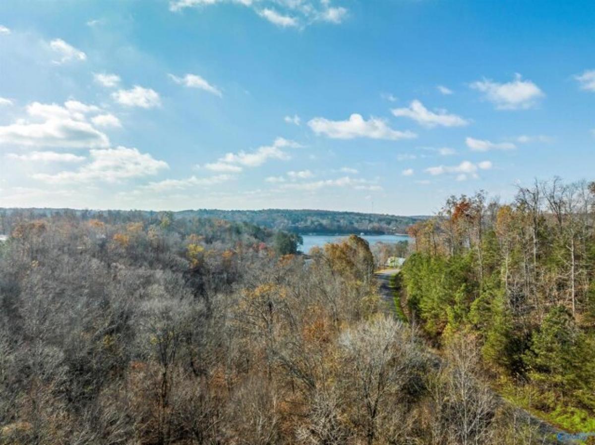 Picture of Residential Land For Sale in Crane Hill, Alabama, United States