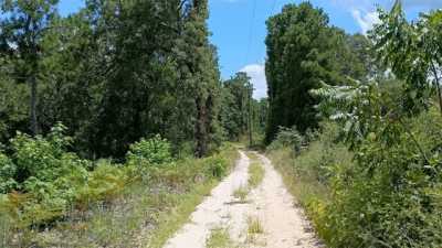 Residential Land For Sale in Colmesneil, Texas