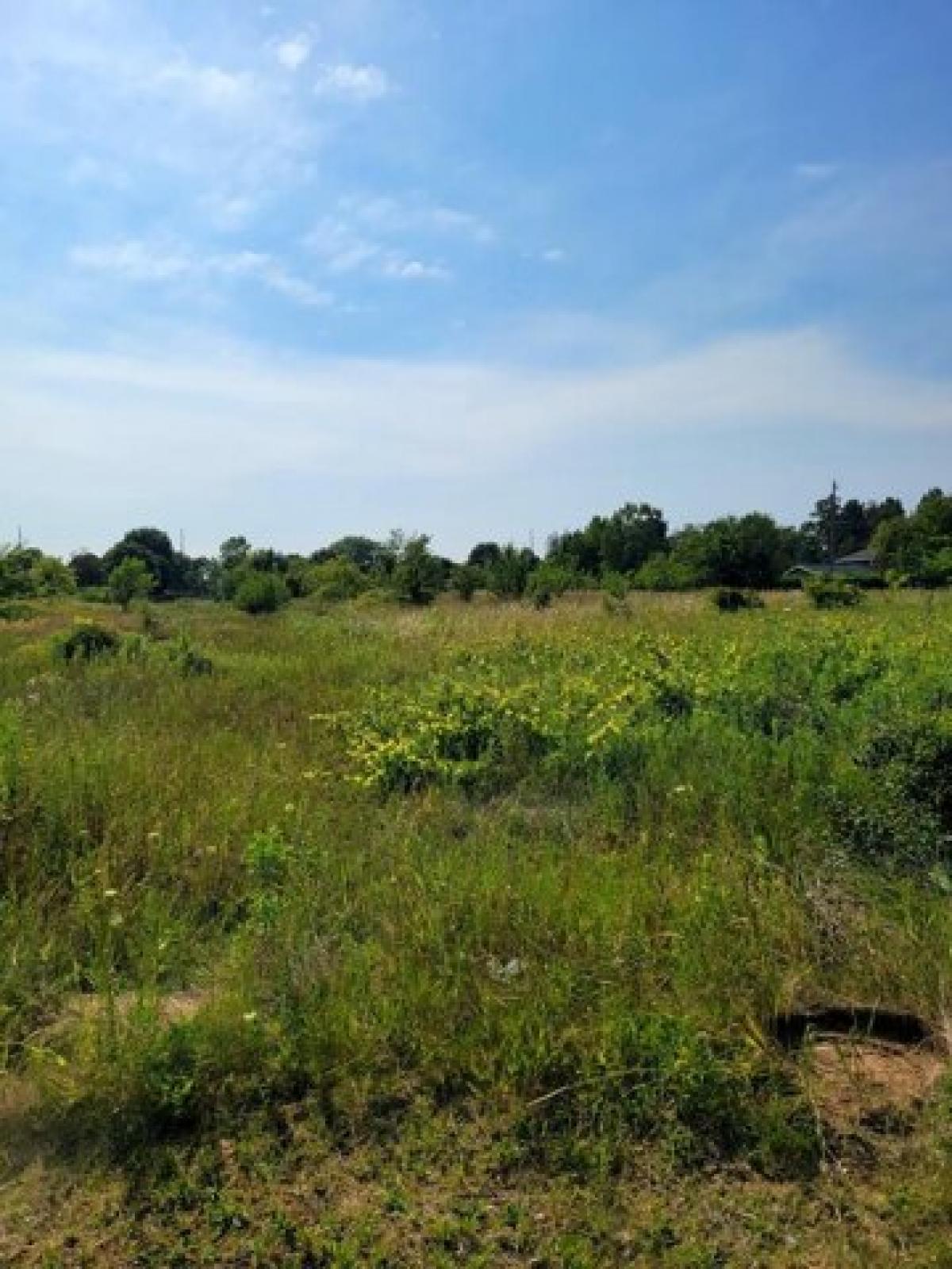 Picture of Residential Land For Sale in Sturgeon Bay, Wisconsin, United States