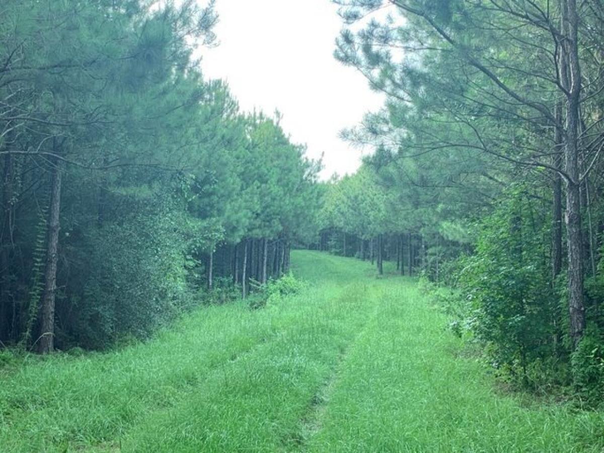 Picture of Residential Land For Sale in Liberty, Mississippi, United States