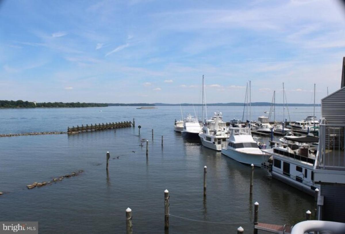 Picture of Home For Sale in Havre de Grace, Maryland, United States