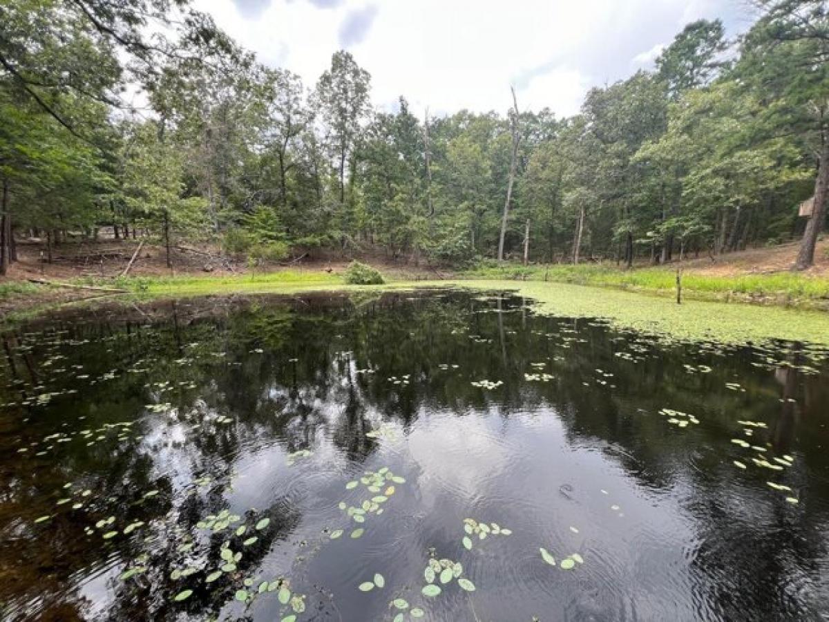 Picture of Home For Sale in Oxford, Arkansas, United States