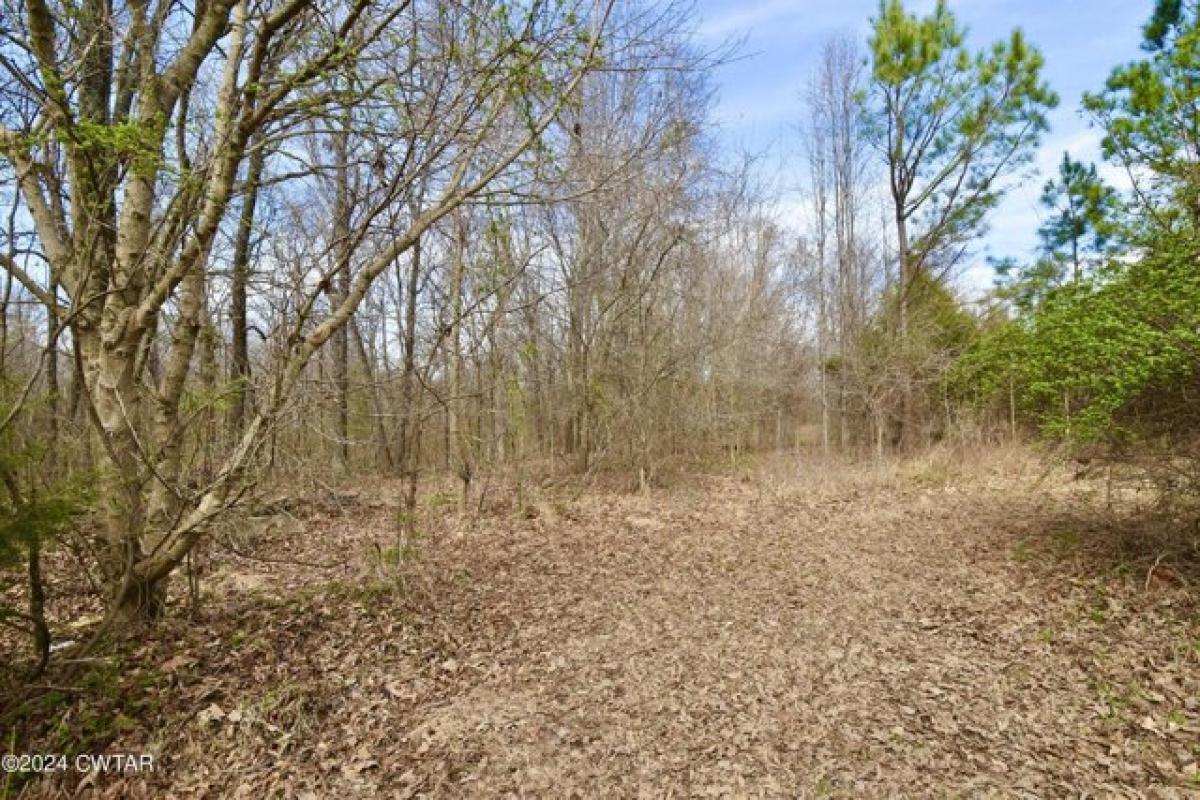 Picture of Residential Land For Sale in Jackson, Tennessee, United States