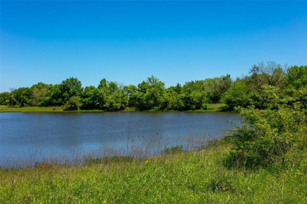 Picture of Residential Land For Sale in Caldwell, Texas, United States