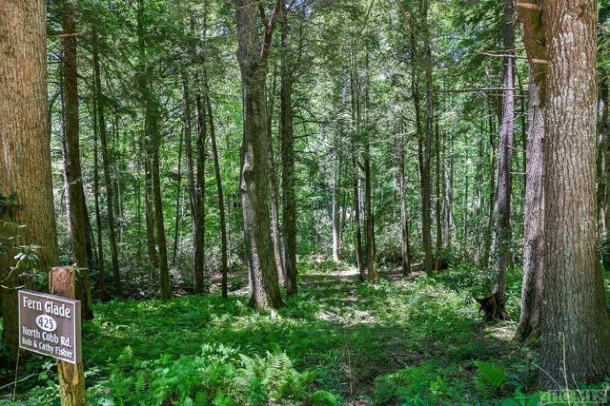 Picture of Residential Land For Sale in Highlands, North Carolina, United States