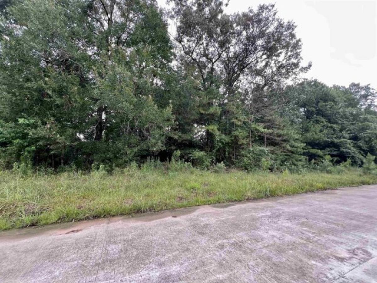 Picture of Residential Land For Sale in Vidor, Texas, United States