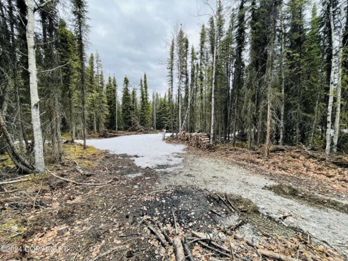 Picture of Residential Land For Sale in Sterling, Alaska, United States