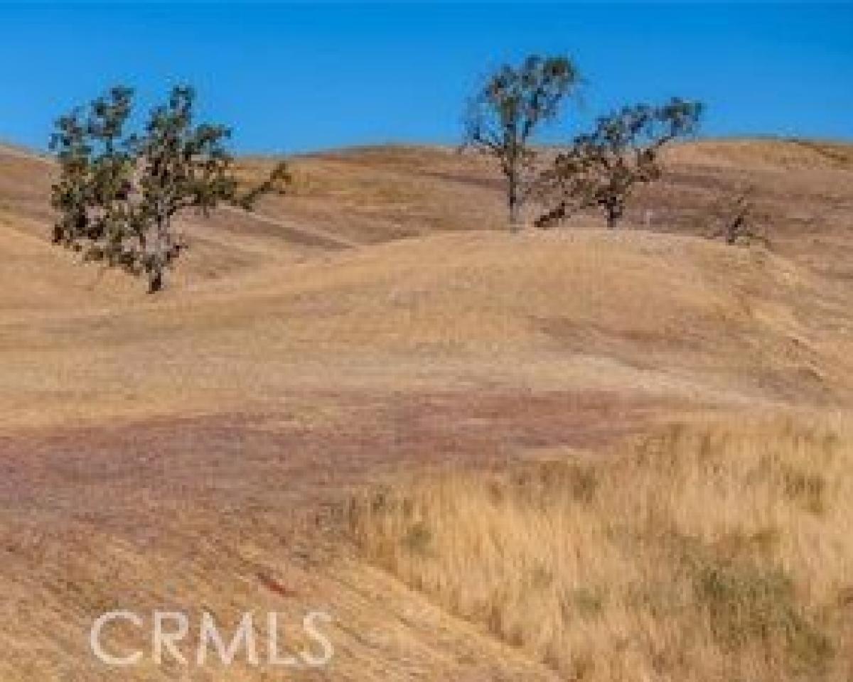 Picture of Residential Land For Sale in Paso Robles, California, United States