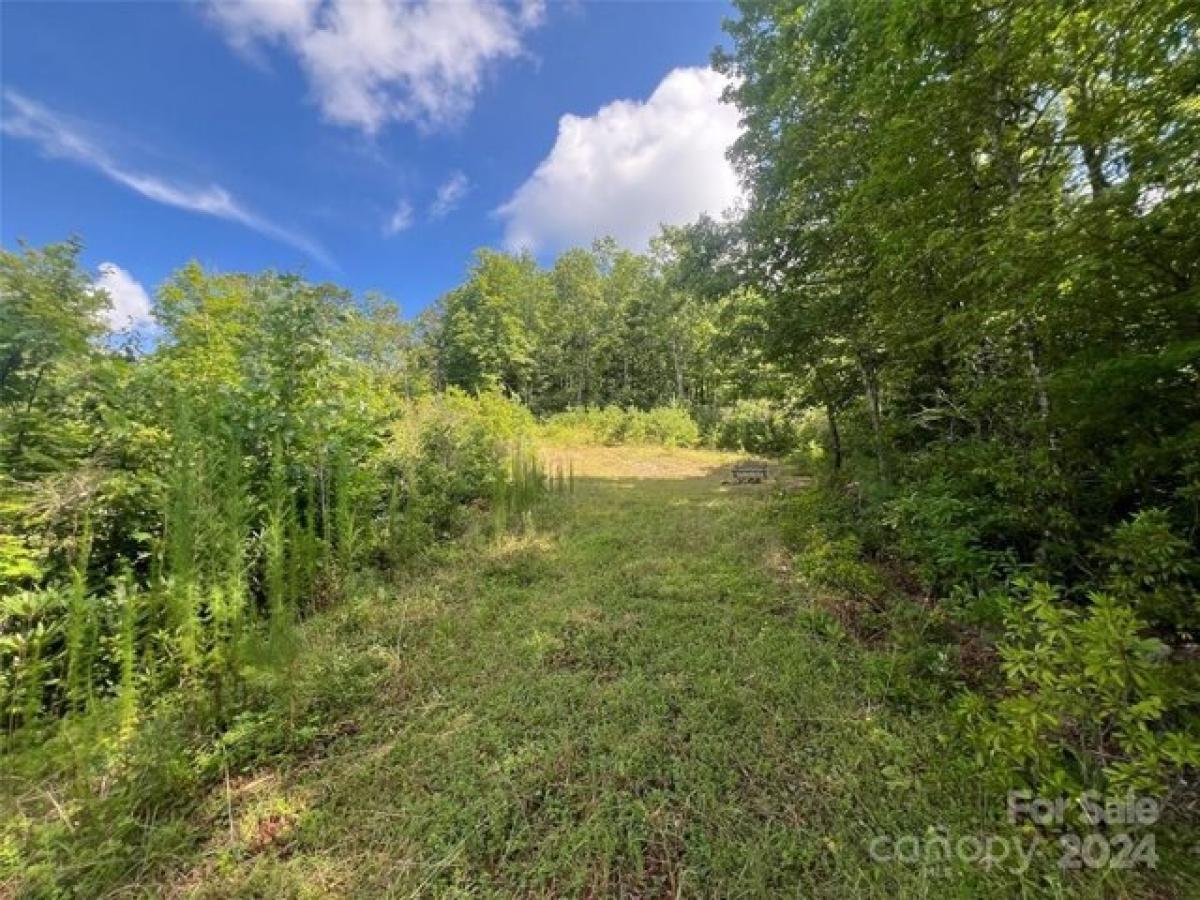 Picture of Residential Land For Sale in Brevard, North Carolina, United States