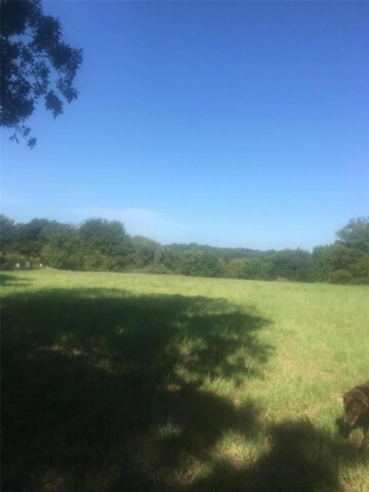 Picture of Residential Land For Sale in Aubrey, Texas, United States