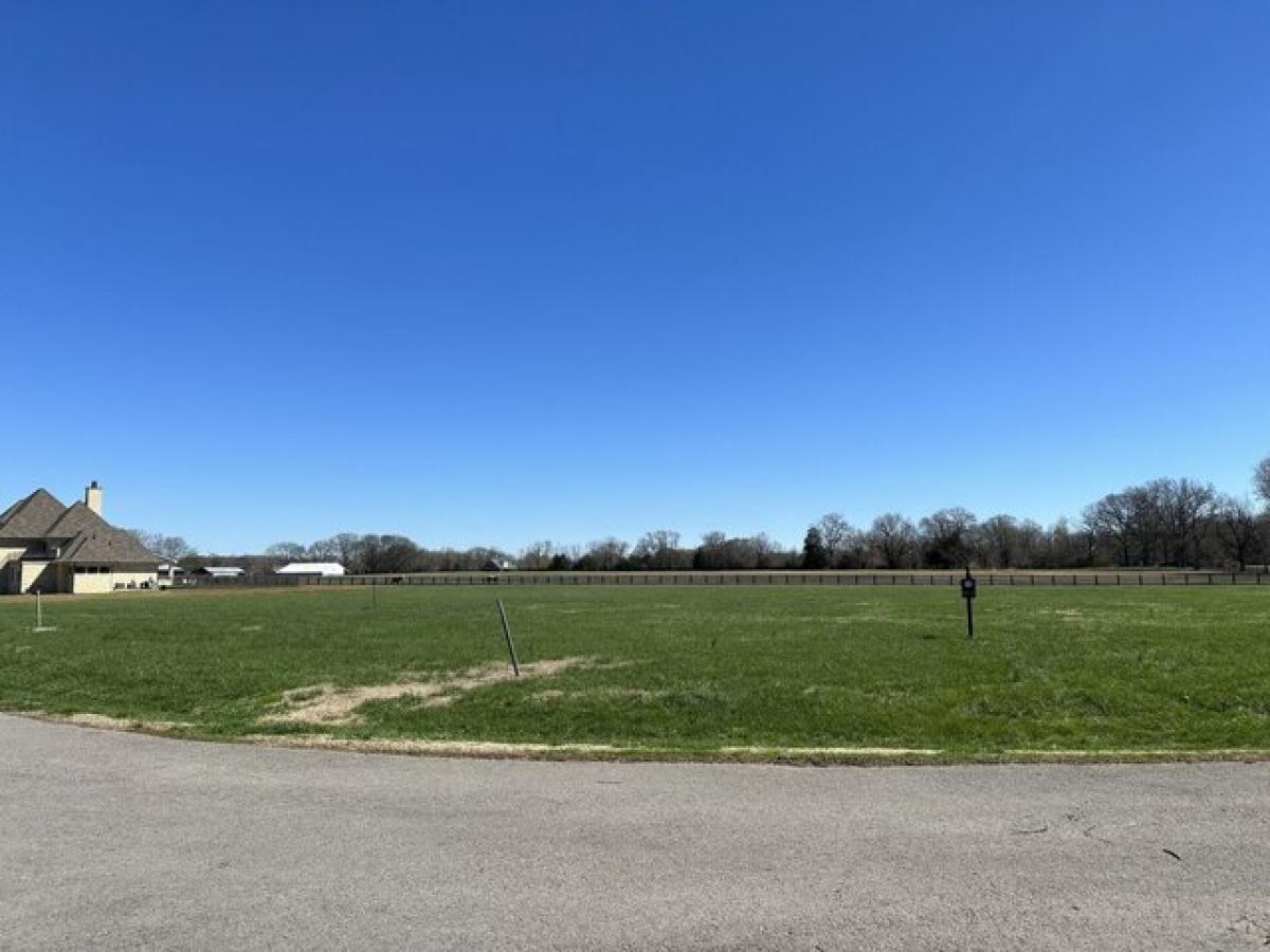 Picture of Residential Land For Sale in Rockvale, Tennessee, United States