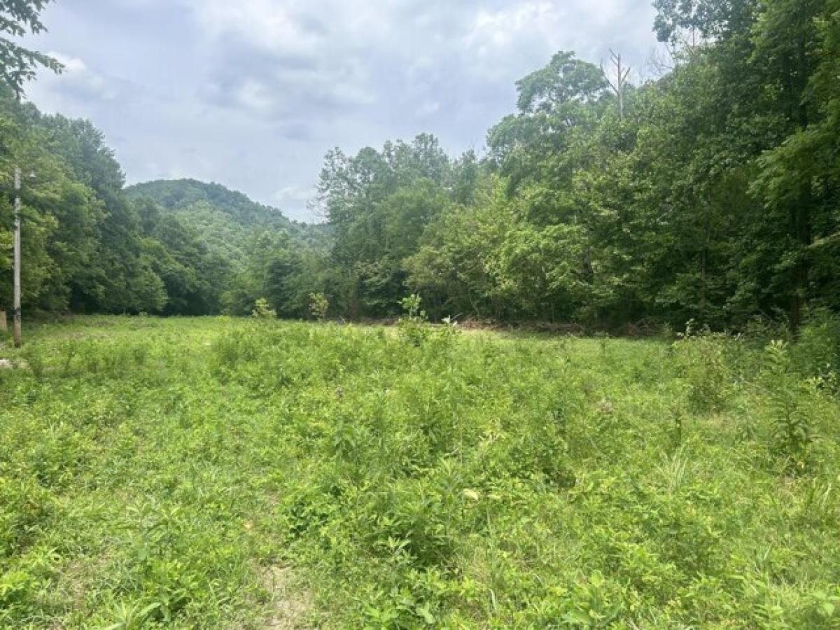 Picture of Residential Land For Sale in Oneida, Kentucky, United States