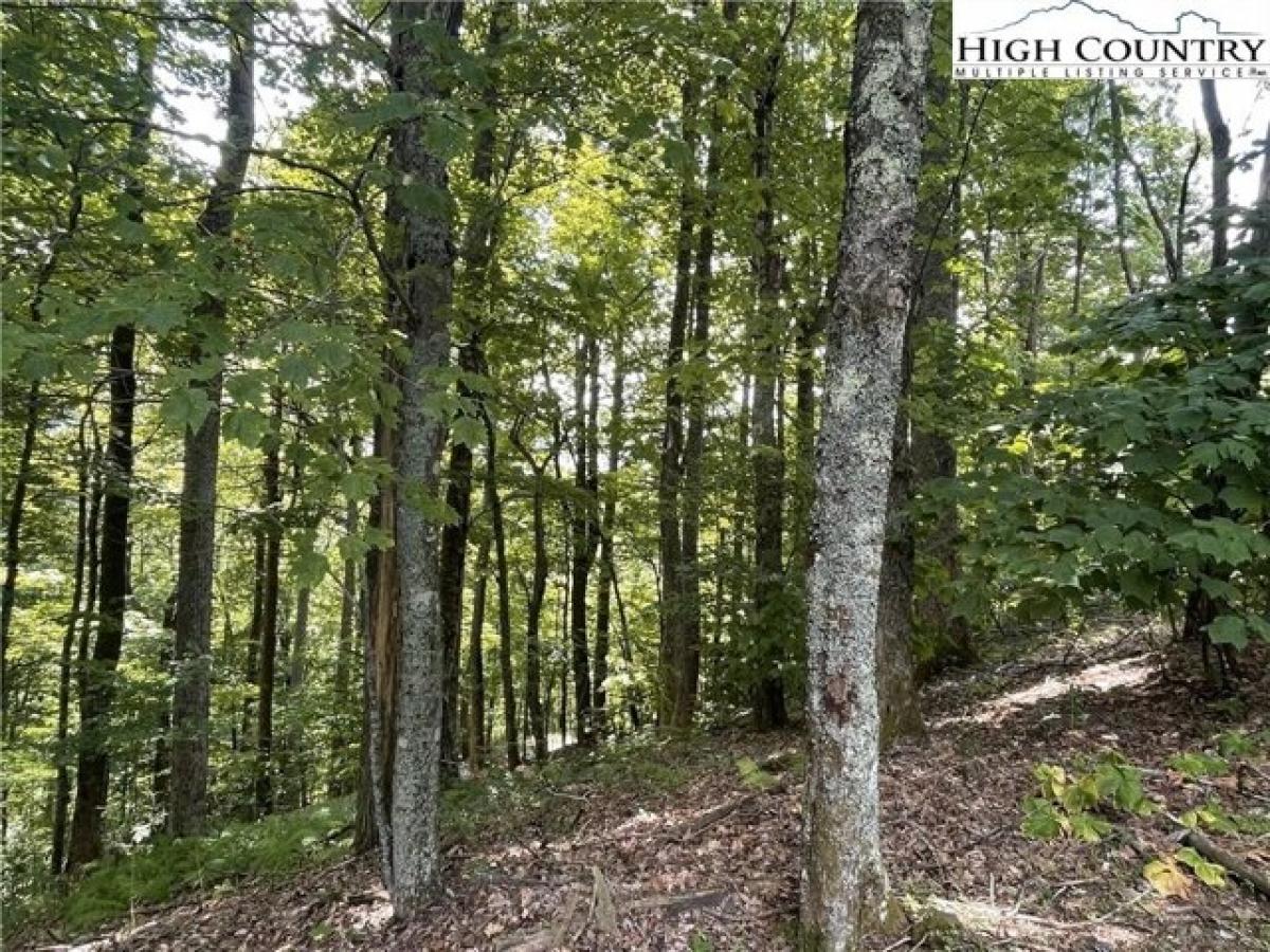 Picture of Residential Land For Sale in Blowing Rock, North Carolina, United States