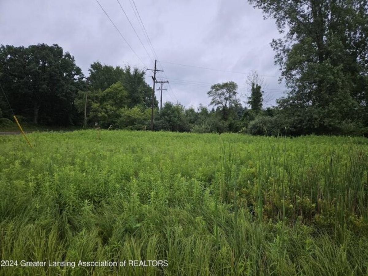 Picture of Residential Land For Sale in Williamston, Michigan, United States