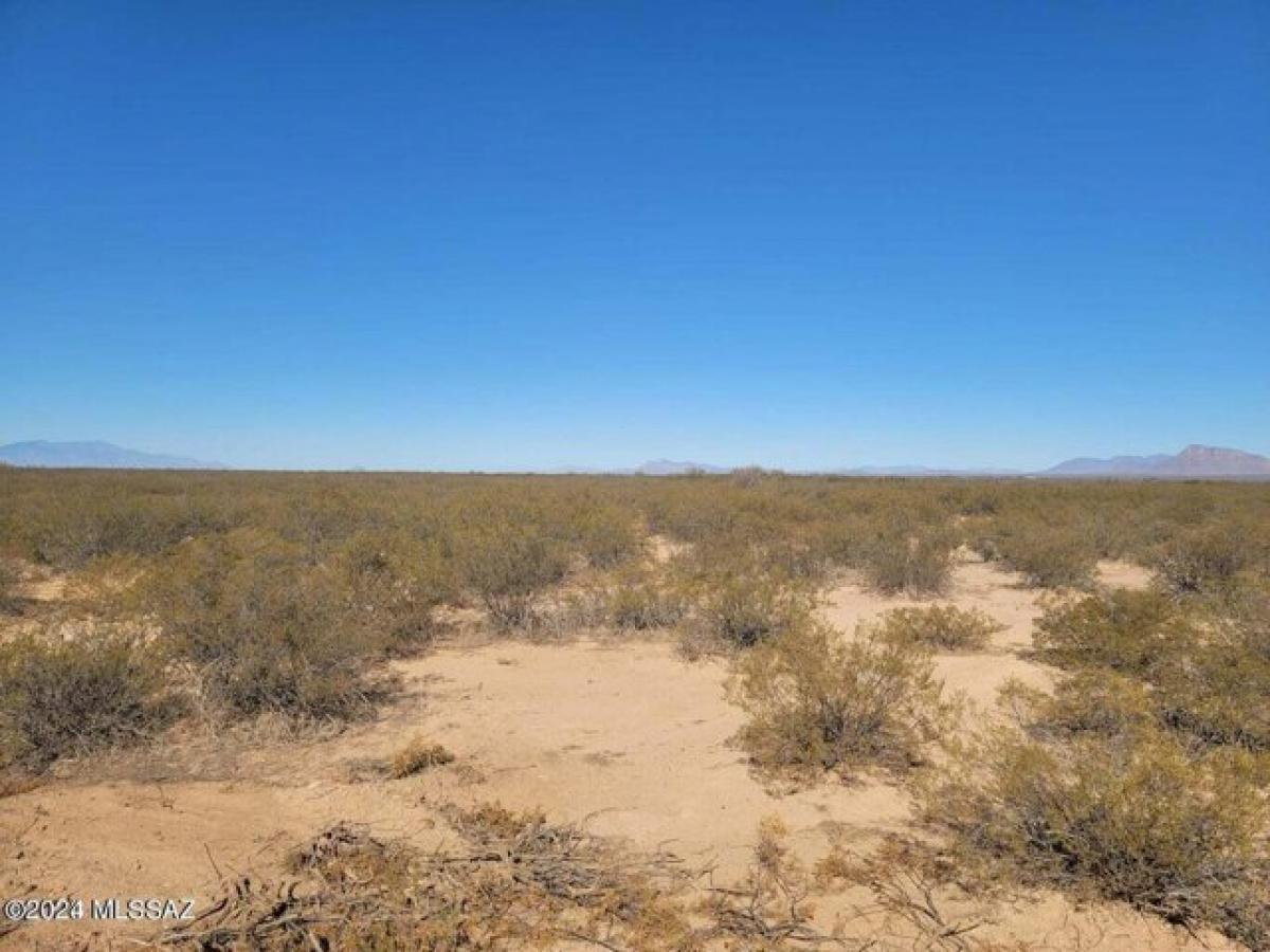 Picture of Residential Land For Sale in San Simon, Arizona, United States