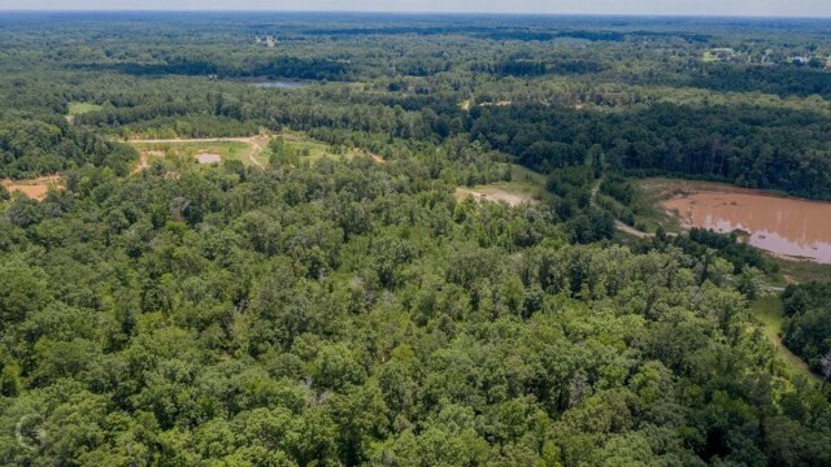 Picture of Residential Land For Sale in Haughton, Louisiana, United States