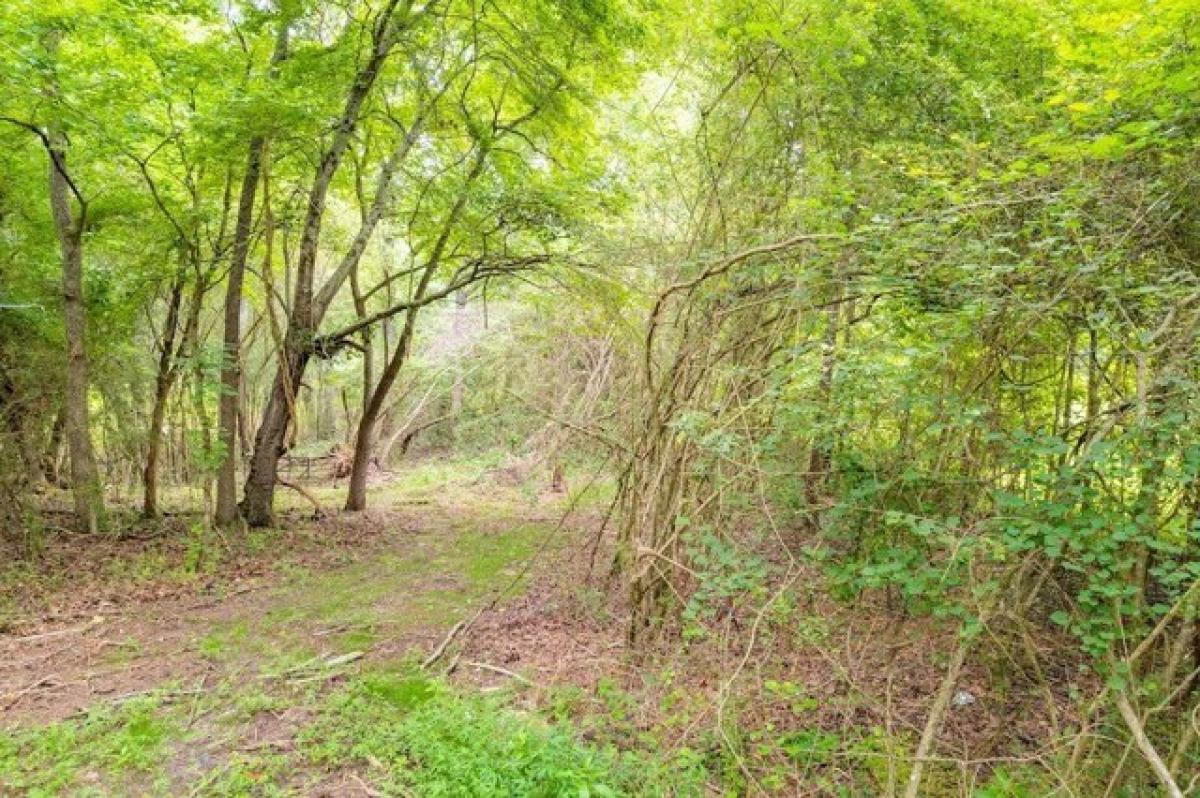 Picture of Residential Land For Sale in Newnan, Georgia, United States