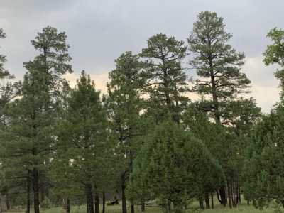 Residential Land For Sale in Happy Jack, Arizona