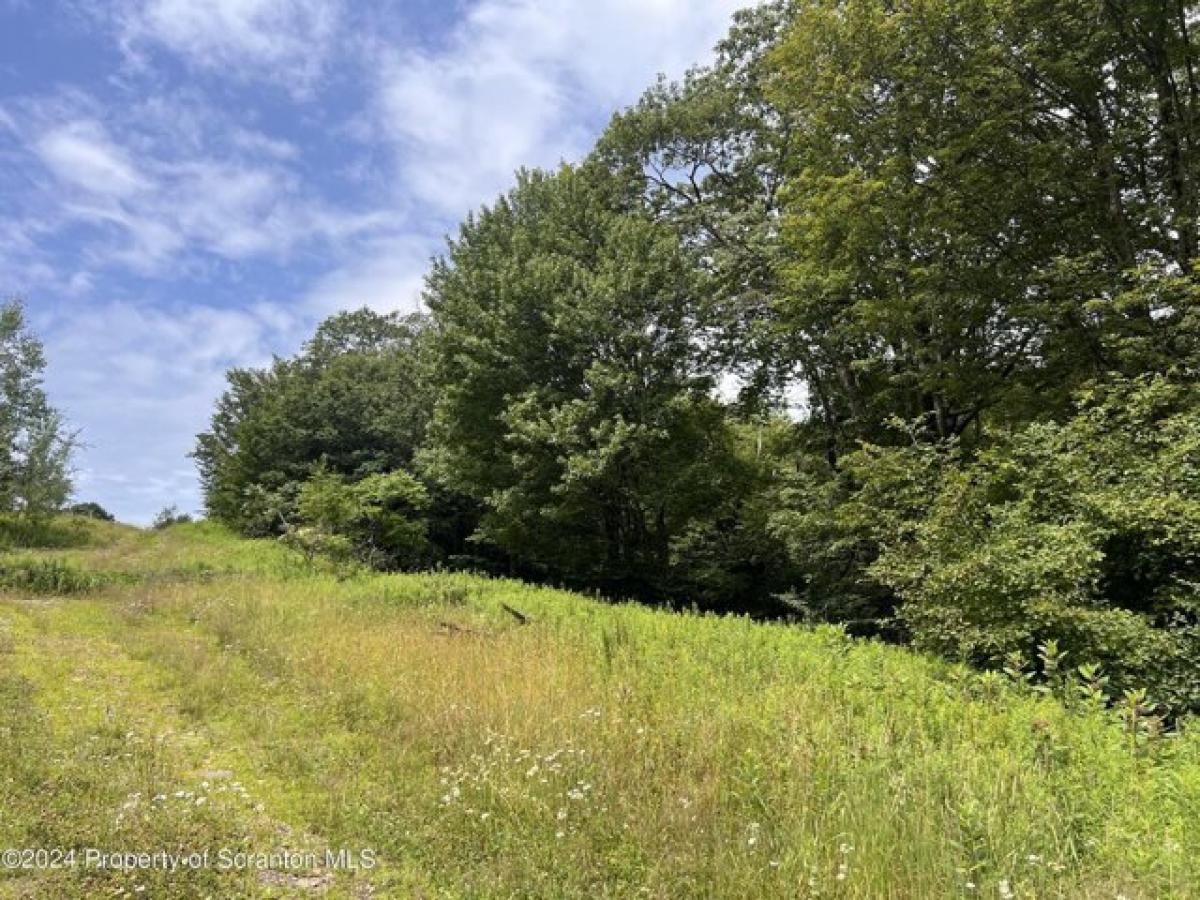 Picture of Residential Land For Sale in Union Dale, Pennsylvania, United States