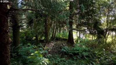 Residential Land For Sale in Wheeler, Oregon