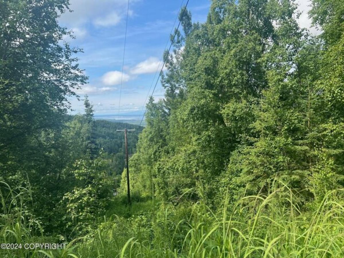 Picture of Residential Land For Sale in Chugiak, Alaska, United States