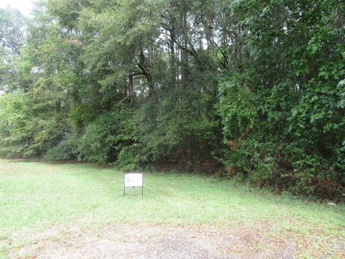 Picture of Residential Land For Sale in New Caney, Texas, United States