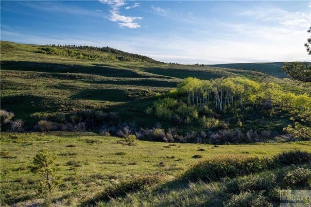 Picture of Residential Land For Sale in Lewistown, Montana, United States