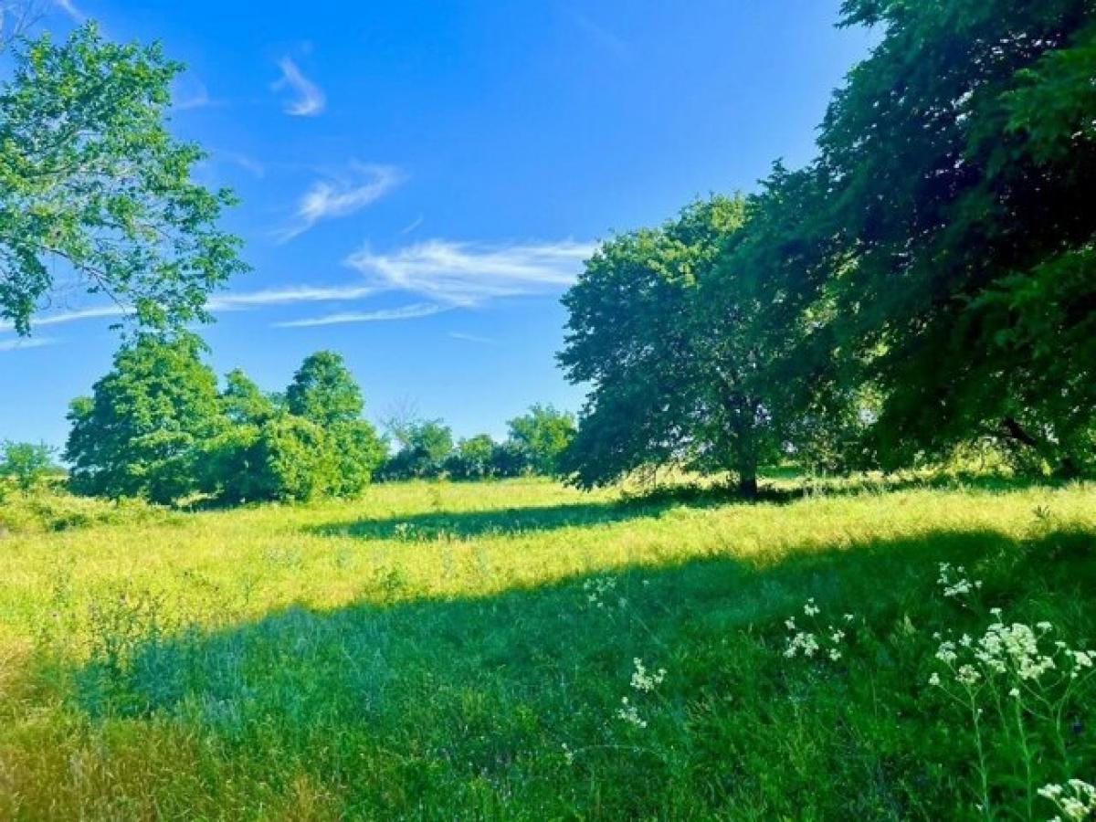 Picture of Residential Land For Sale in Poolville, Texas, United States