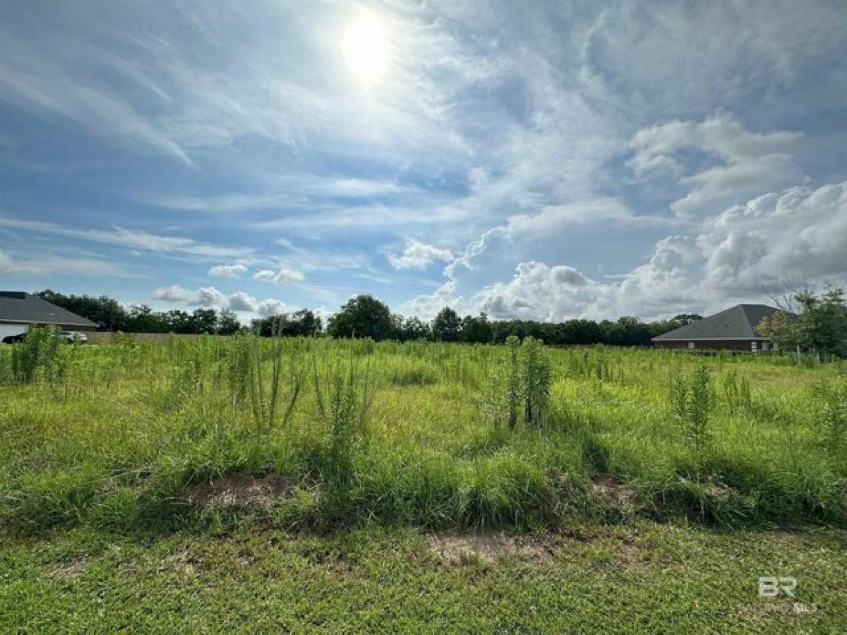 Picture of Residential Land For Sale in Grand Bay, Alabama, United States