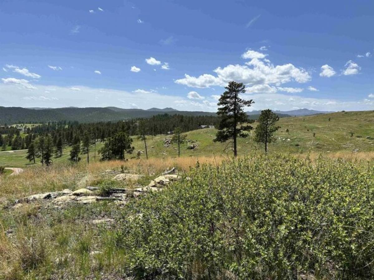 Picture of Residential Land For Sale in Keystone, South Dakota, United States