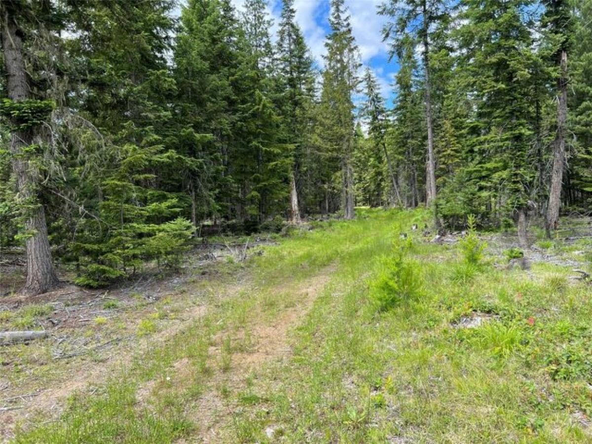 Picture of Residential Land For Sale in Troy, Montana, United States