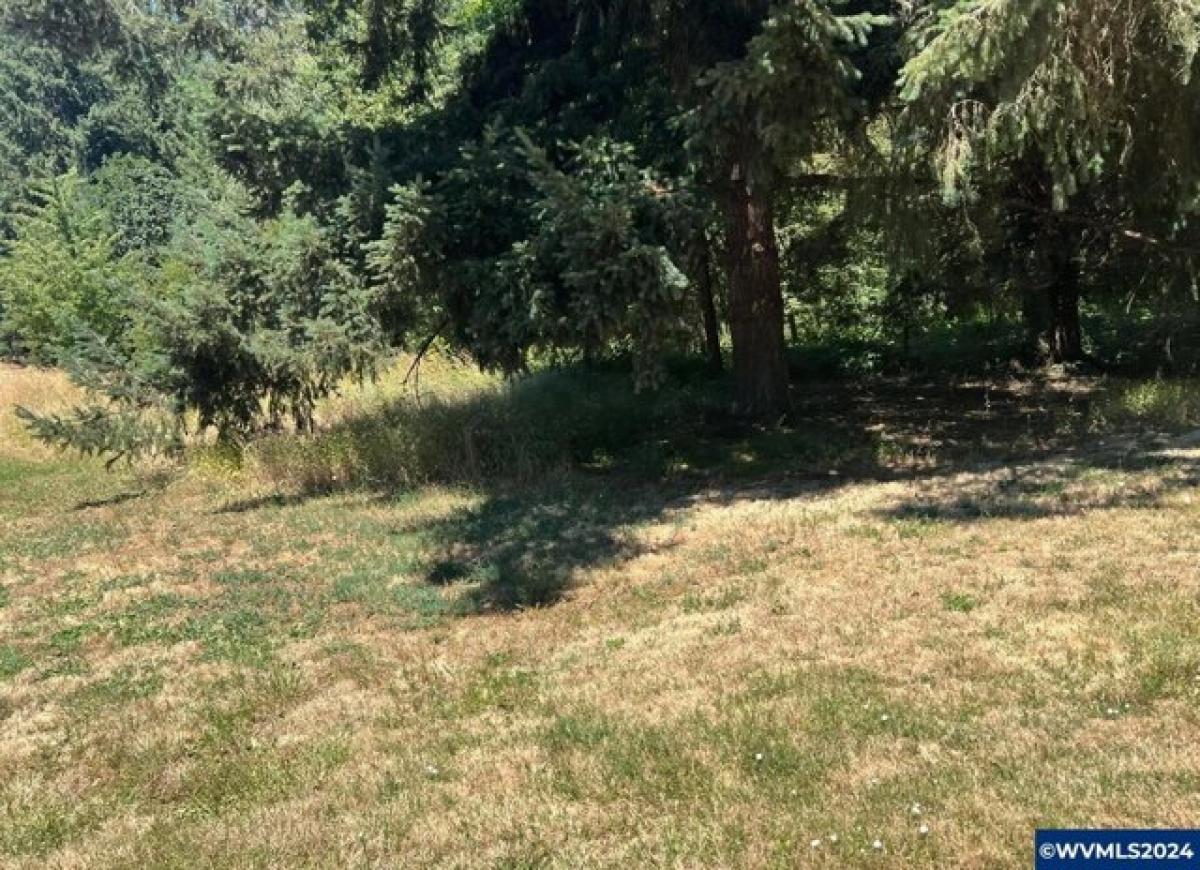 Picture of Residential Land For Sale in Albany, Oregon, United States