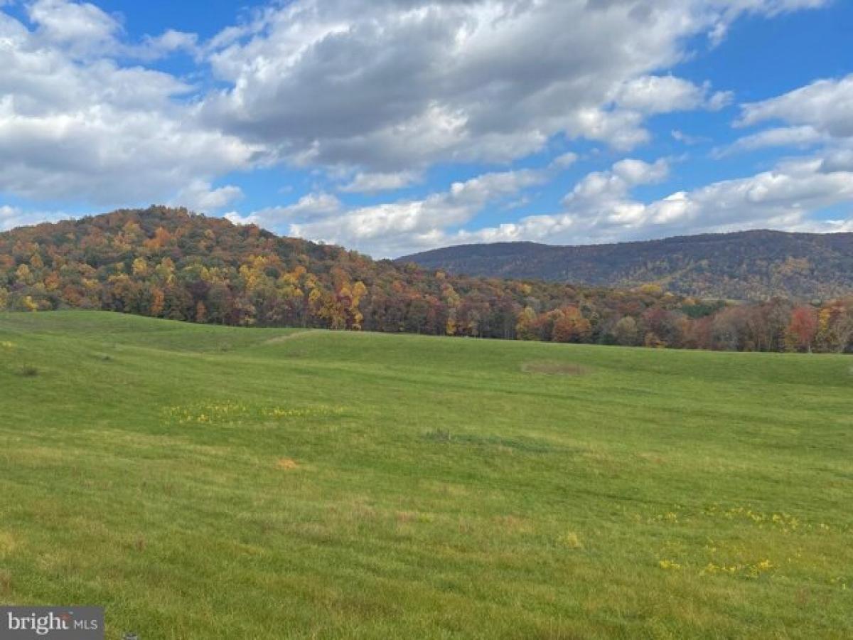 Picture of Residential Land For Sale in Bentonville, Virginia, United States