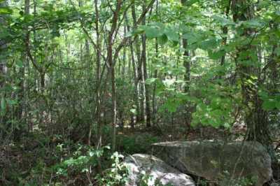 Residential Land For Sale in Monterey, Virginia