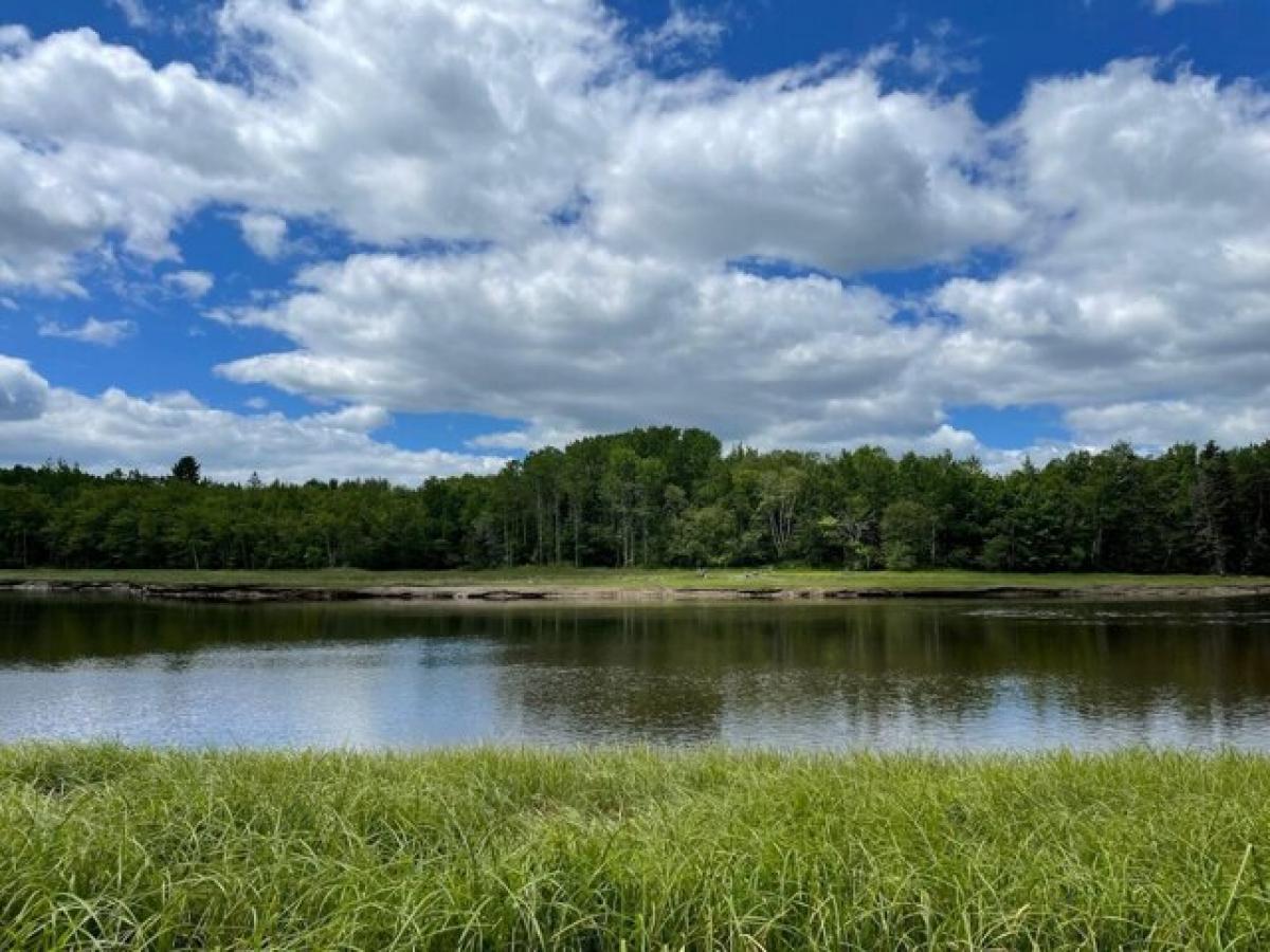 Picture of Residential Land For Sale in Milbridge, Maine, United States