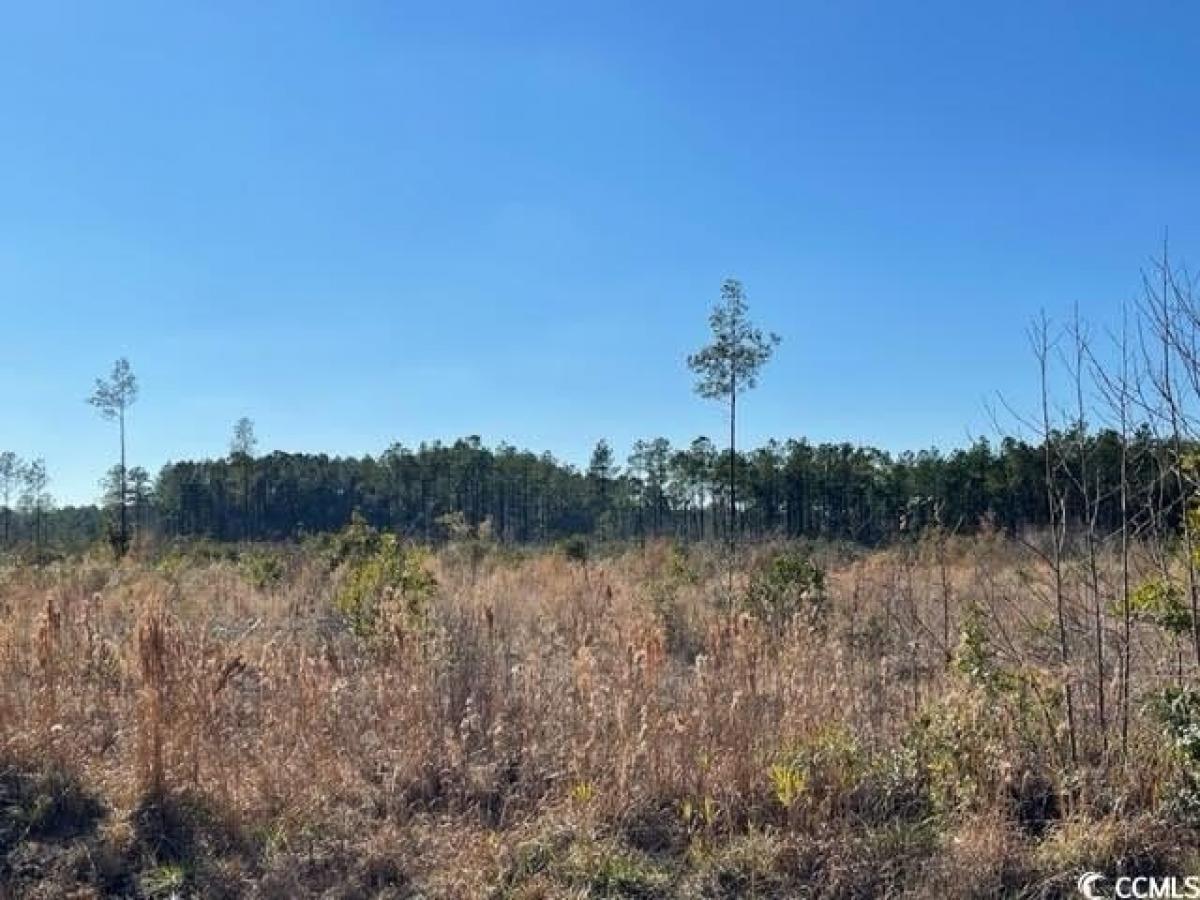 Picture of Residential Land For Sale in Conway, South Carolina, United States