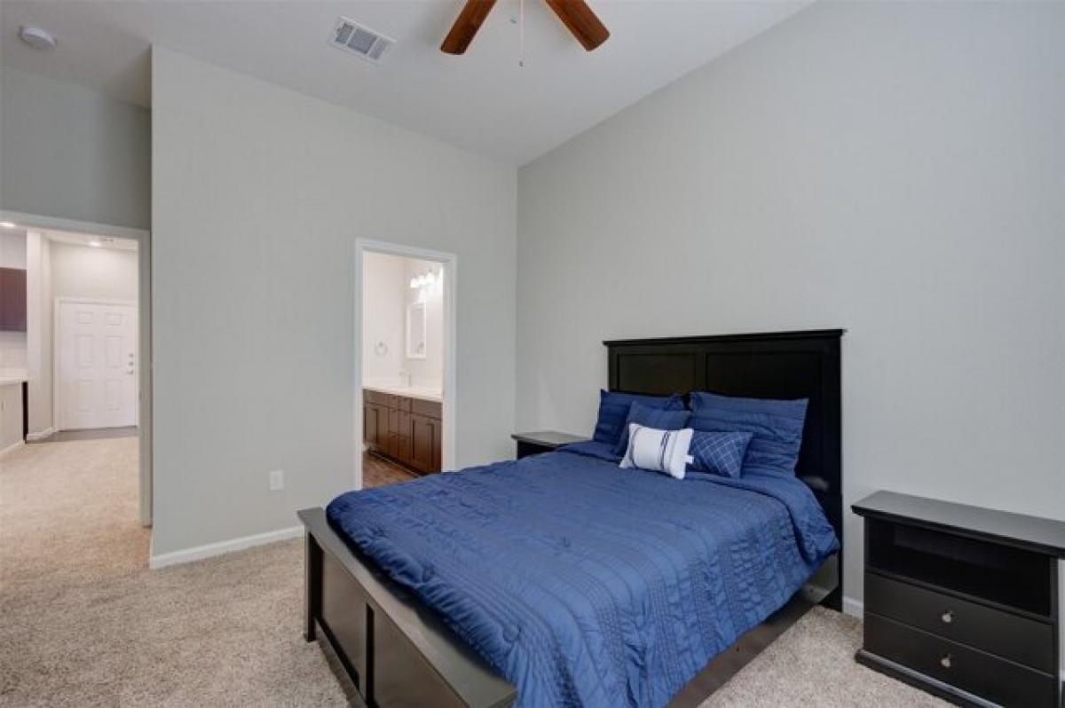 Picture of Apartment For Rent in Conroe, Texas, United States