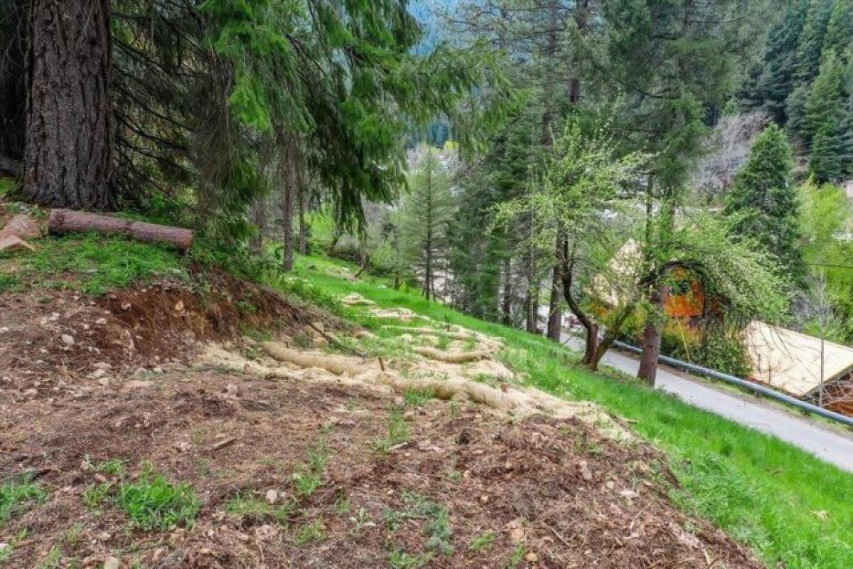 Picture of Residential Land For Sale in Downieville, California, United States