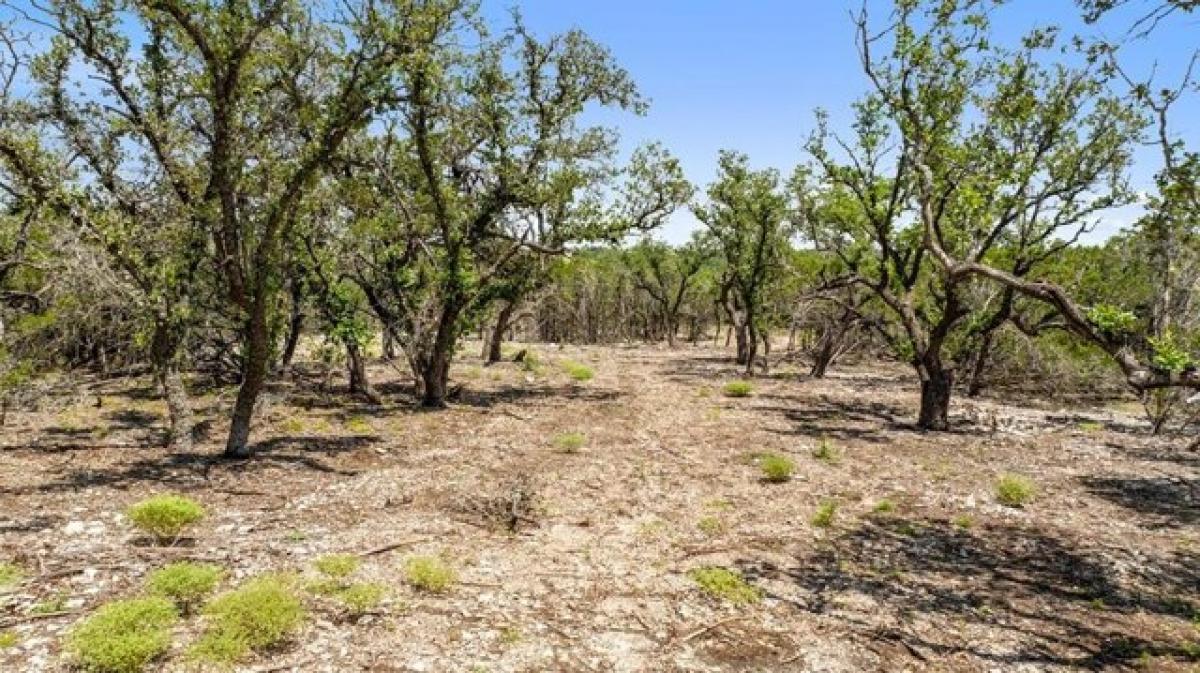 Picture of Residential Land For Sale in Harper, Texas, United States